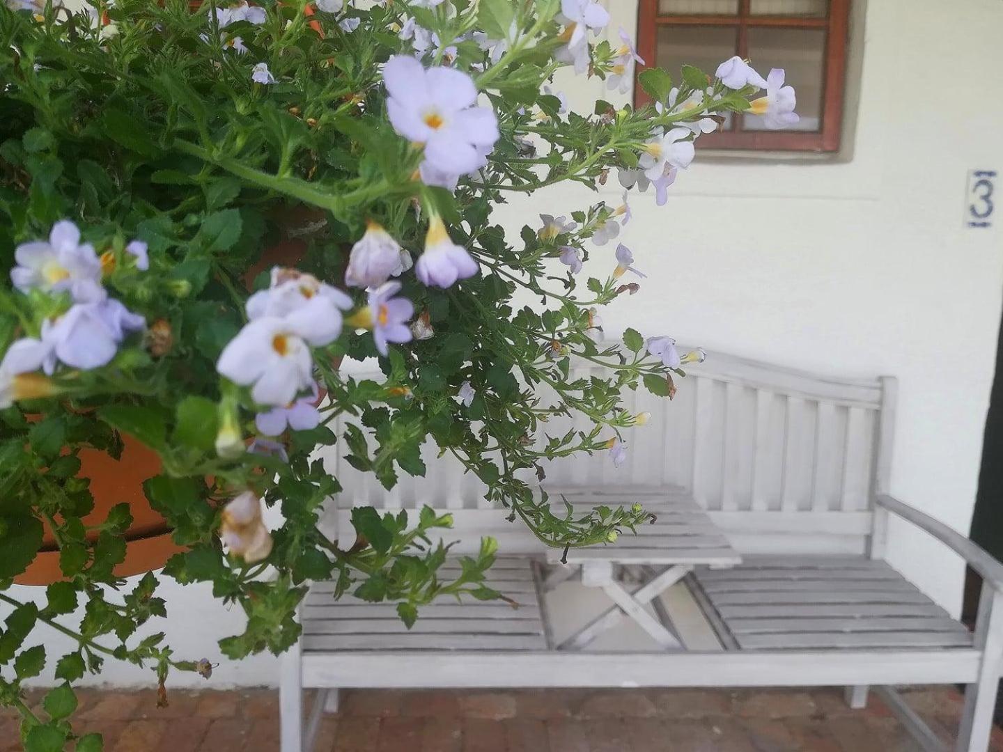 Kaijaiki Country Inn And Restaurant Yzerfontein Camera foto